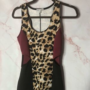 Charlotte Russe Mini Leopard Dress